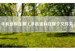 手机资料在哪（手机资料在哪个文件夹）