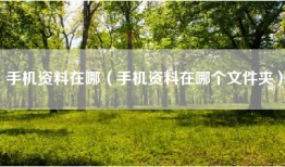 手机资料在哪（手机资料在哪个文件夹）