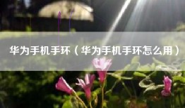 华为手机手环（华为手机手环怎么用）