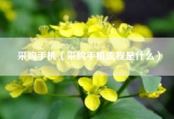 采购手机（采购手机流程是什么）
