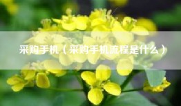 采购手机（采购手机流程是什么）