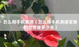 怎么用手机测速（怎么用手机测速家里的宽带是多少兆）