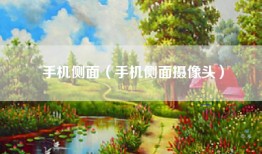 手机侧面（手机侧面摄像头）