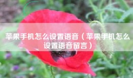 苹果手机怎么设置语音（苹果手机怎么设置语音留言）