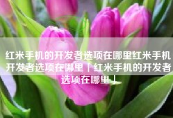 红米手机的开发者选项在哪里红米手机开发者选项在哪里「红米手机的开发者选项在哪里」