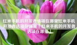 红米手机的开发者选项在哪里红米手机开发者选项在哪里「红米手机的开发者选项在哪里」