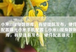 小米13现身数据库，有望提前发布，硬件配置曝光小米手机配置「小米13现身数据库，有望提前发布，硬件配置曝光」