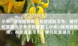 小米13现身数据库，有望提前发布，硬件配置曝光小米手机配置「小米13现身数据库，有望提前发布，硬件配置曝光」