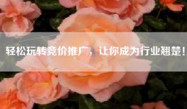 轻松玩转竞价推广，让你成为行业翘楚！