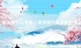 非洲用什么手机（非洲用什么手机好用）