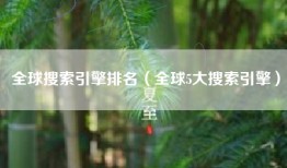 全球搜索引擎排名（全球5大搜索引擎）