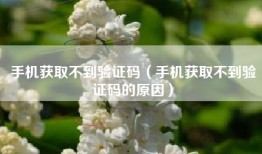 手机获取不到验证码（手机获取不到验证码的原因）