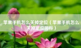 苹果手机怎么关掉定位（苹果手机怎么关掉定位图标）