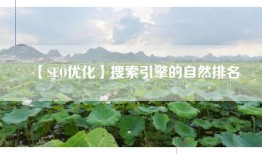【SEO优化】搜索引擎的自然排名