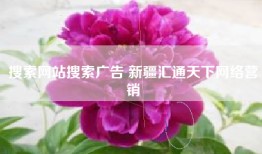 搜索网站搜索广告 新疆汇通天下网络营销