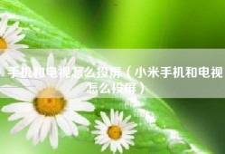手机和电视怎么投屏（小米手机和电视怎么投屏）