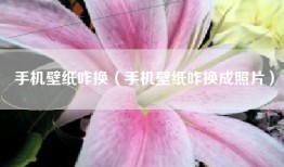 手机壁纸咋换（手机壁纸咋换成照片）