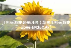 手机玩游戏老是闪退（苹果手机玩游戏总是闪退怎么办）