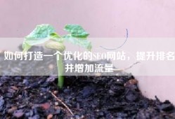 如何打造一个优化的SEO网站，提升排名并增加流量