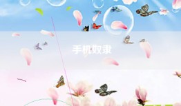 手机奴隶