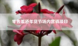 零售渠道年货节场内营销项目