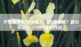 外贸新手如何快速入门跨境电商？建议收藏！（内附资讯网站）