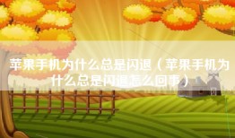 苹果手机为什么总是闪退（苹果手机为什么总是闪退怎么回事）