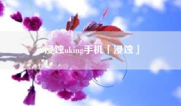 浸蚀uking手机「浸蚀」