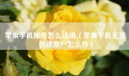 苹果手机账号怎么注销（苹果手机无法创建账户怎么办）