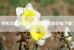 手机百度影音（手机百度影音旧版下载）