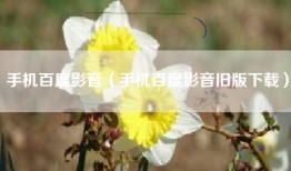 手机百度影音（手机百度影音旧版下载）