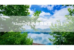 A3oppoa3手机参数配置「A3」