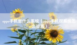 oppo手机是什么系统（oppo手机双系统怎么设置）
