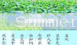 百度竞价代运营
