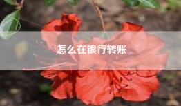 怎么在银行转账