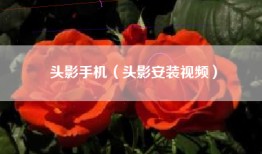 头影手机（头影安装视频）