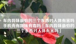 车内异味最怕的三个东西对人体有害吗手机壳有异味有毒吗「车内异味最怕的三个东西对人体有害吗」