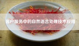 客户服务中的自然语言处理技术应用