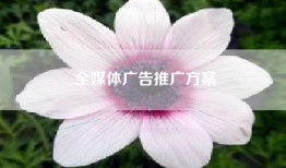全媒体广告推广方案