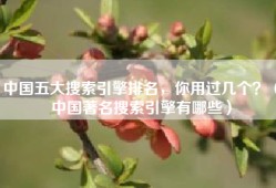 中国五大搜索引擎排名，你用过几个？（中国著名搜索引擎有哪些）