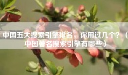 中国五大搜索引擎排名，你用过几个？（中国著名搜索引擎有哪些）