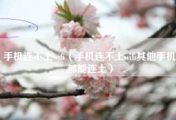 手机连不上wifi（手机连不上wifi其他手机都能连上）