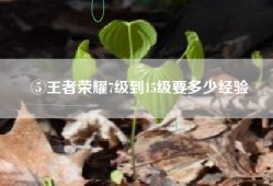 ⑤王者荣耀7级到15级要多少经验