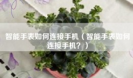 智能手表如何连接手机（智能手表如何连接手机？）