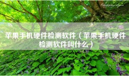 苹果手机硬件检测软件（苹果手机硬件检测软件叫什么）