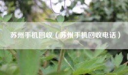 苏州手机回收（苏州手机回收电话）
