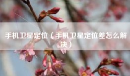 手机卫星定位（手机卫星定位差怎么解决）