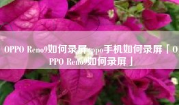 OPPO Reno9如何录屏oppo手机如何录屏「OPPO Reno9如何录屏」