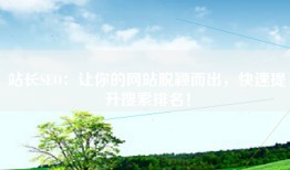 站长SEO：让你的网站脱颖而出，快速提升搜索排名！