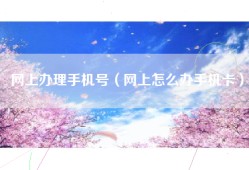 网上办理手机号（网上怎么办手机卡）